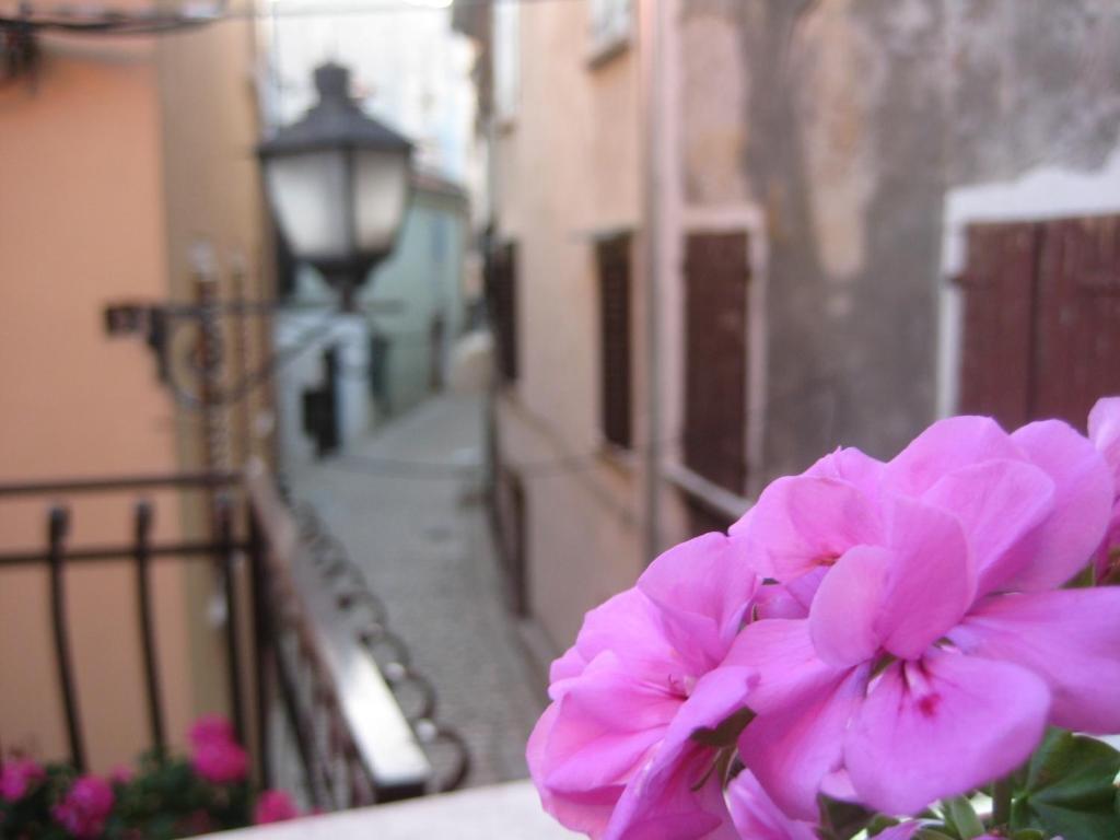 Apartments Bellow the Stars Rovinj Exterior foto